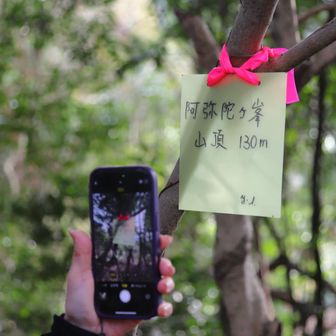 阿弥陀ヶ峯
YAMAP1645座目