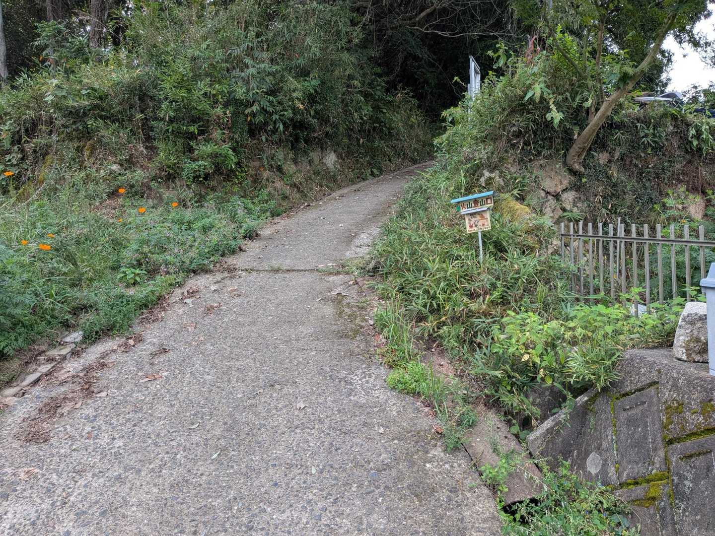 今日もここから
今回は登山道に掘られている排水溝の掃除をしながら山頂まで登ります。