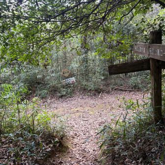 管理堂に出ました
第一展望所と山頂は左ですが、右の如来寺コースに向かいます