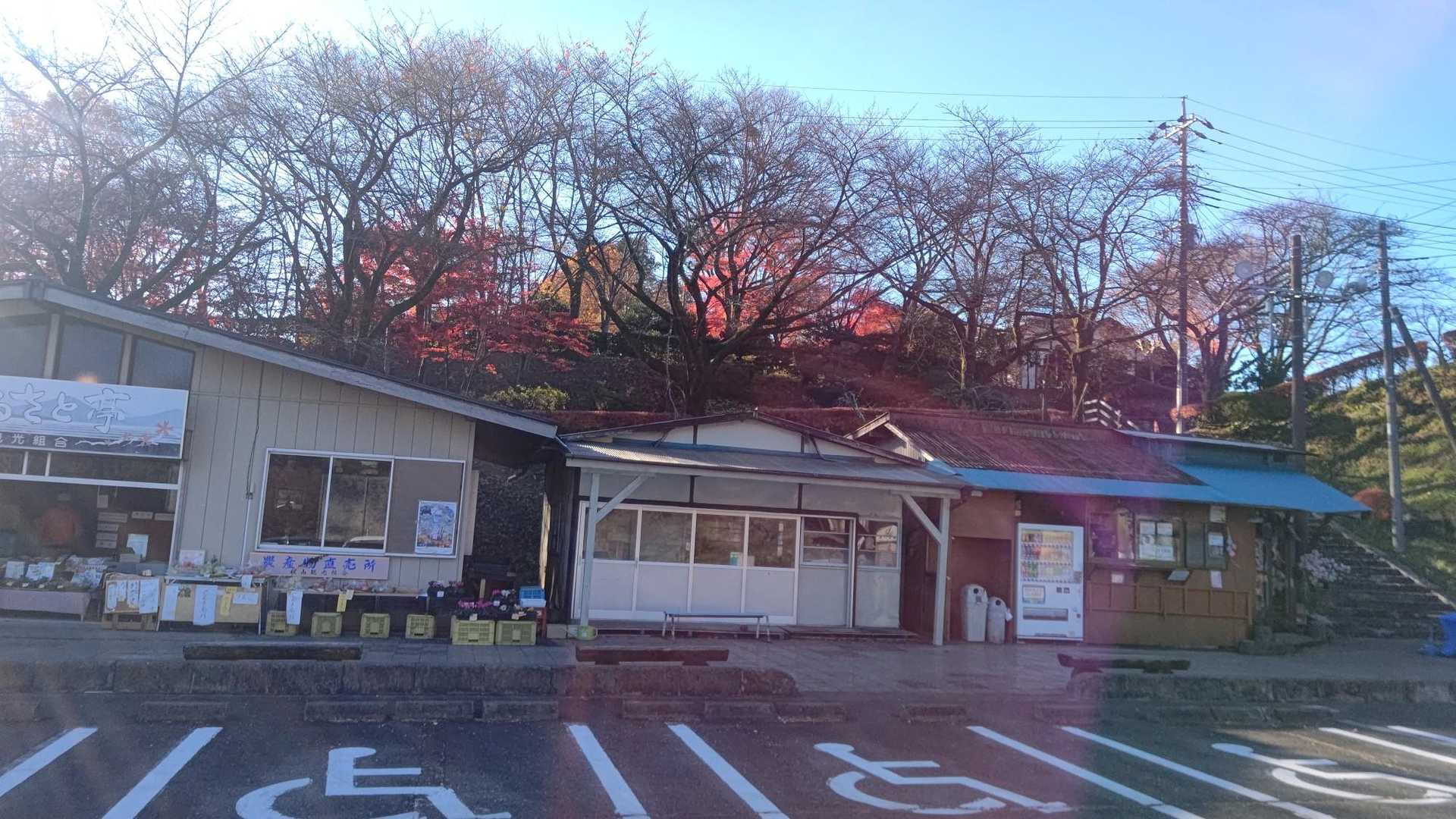 この時間は1件だけ
やってました😁