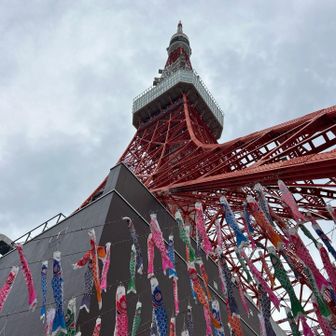 鯉のぼり🎏が飾られた🗼
こちらを本日のカバー写真に💁‍♀️