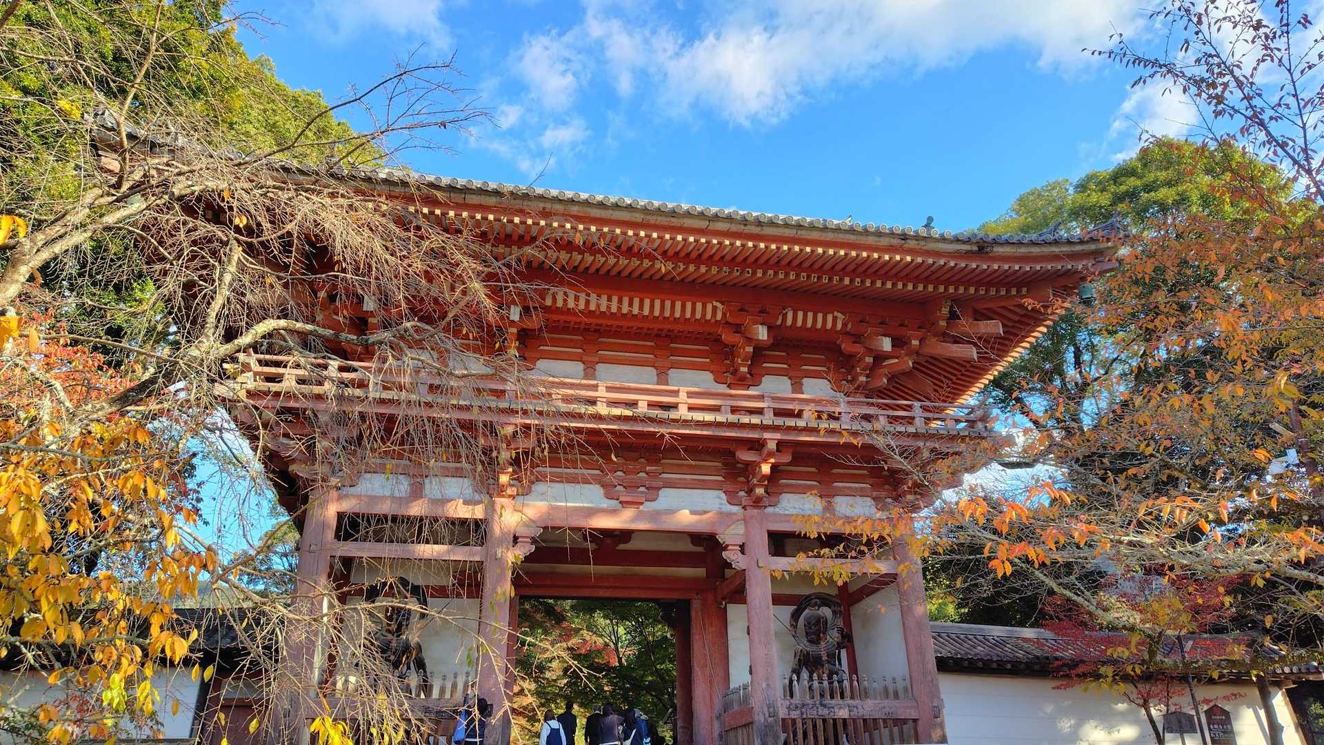 音羽山-牛尾山-千頭岳-高塚山-醍醐駅 縦走コースの写真