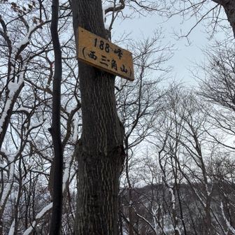 尾根を降りつつ到達