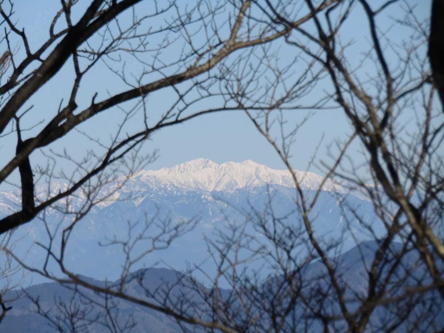 でも写真を撮るのは一苦労📷
人間の目は良くできている