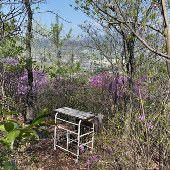 山頂からの眺望