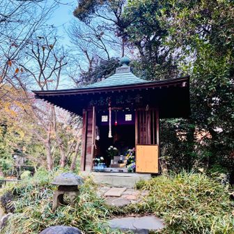 紅葉山、ここら辺が山頂ですが、標識はなし⛰️
