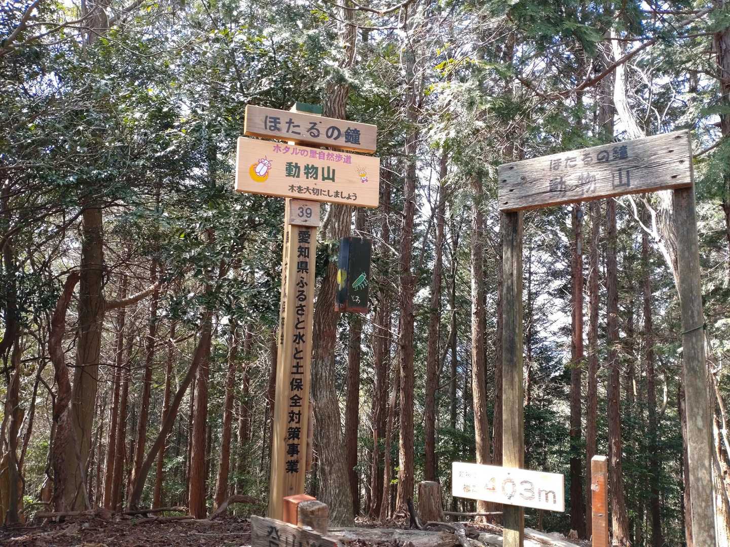 鳥川アルプス 周回コースの写真