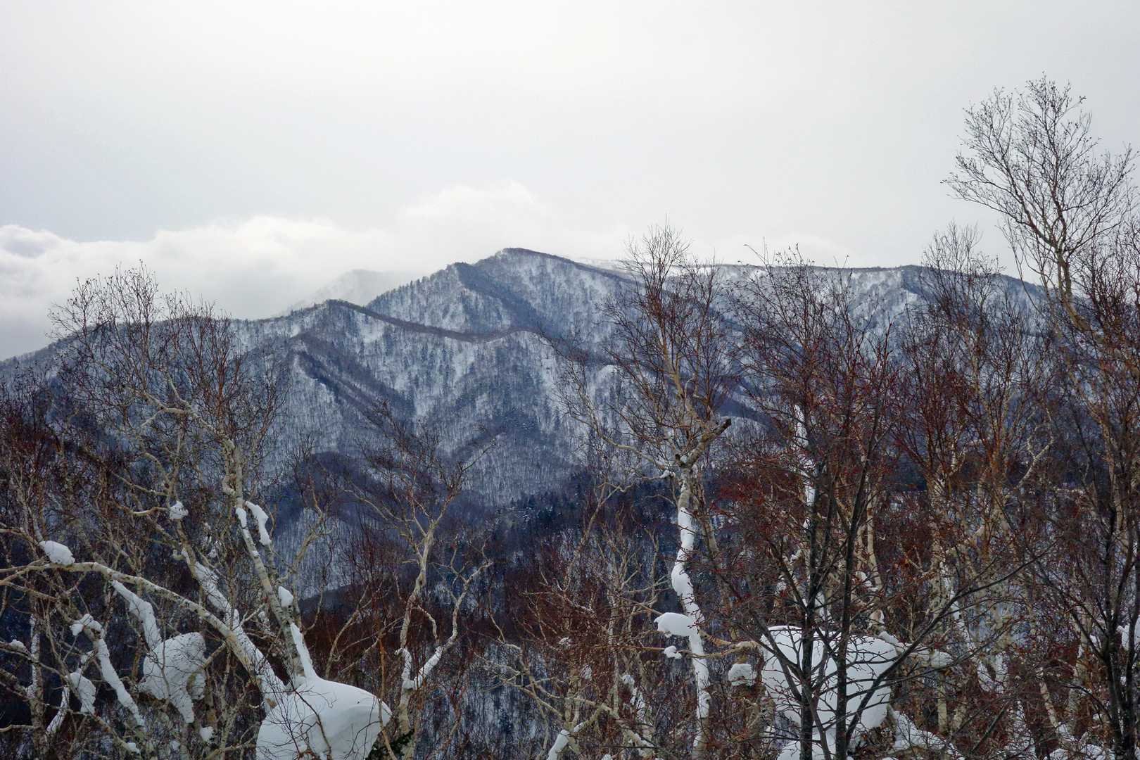 頂上ではじめて札幌岳🏔にご対面