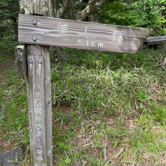 さてここから本日の修行の道へと入ります
美し森まで5.1km 登り256m 下り306m
