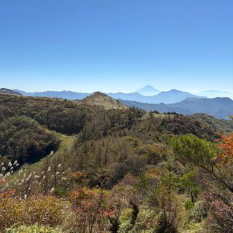 富士山も見えます🗻
が、良い山に囲まれすぎてて
インフレ気味😅