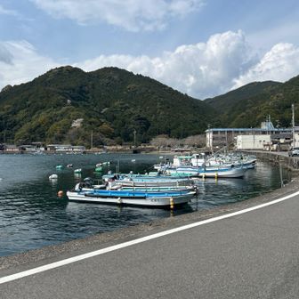 戻ってきました。海には魚が沢山いました🐟