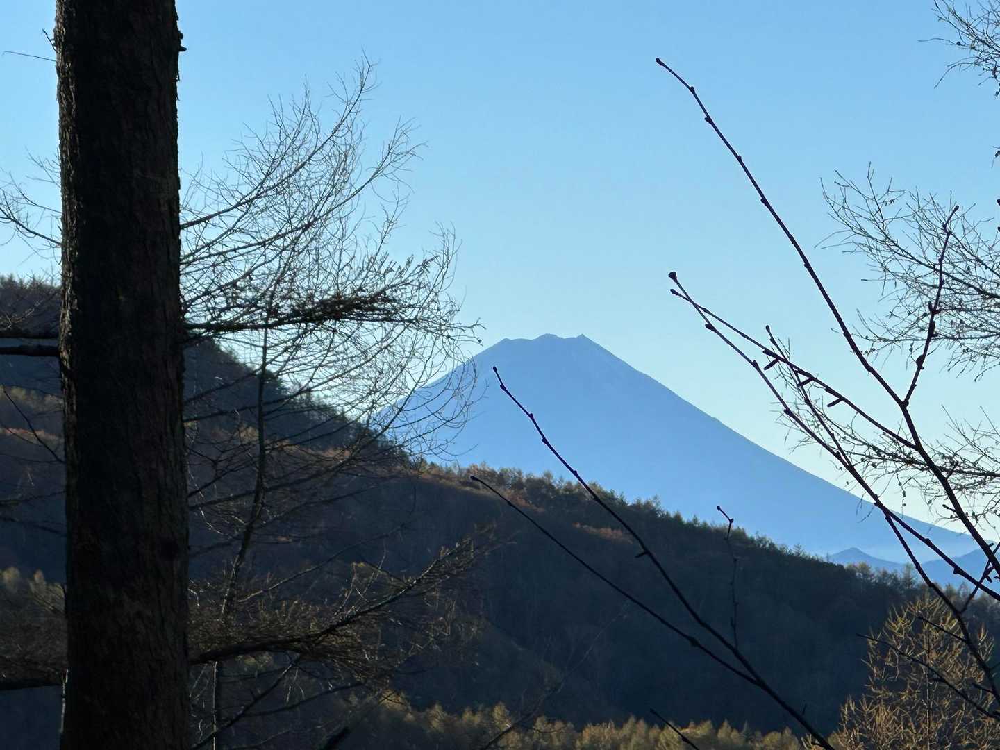 焼山峠-小楢山-小楢峠-大沢ノ頭-妙見山-妙見山-鼓川バス 縦走コースの写真
