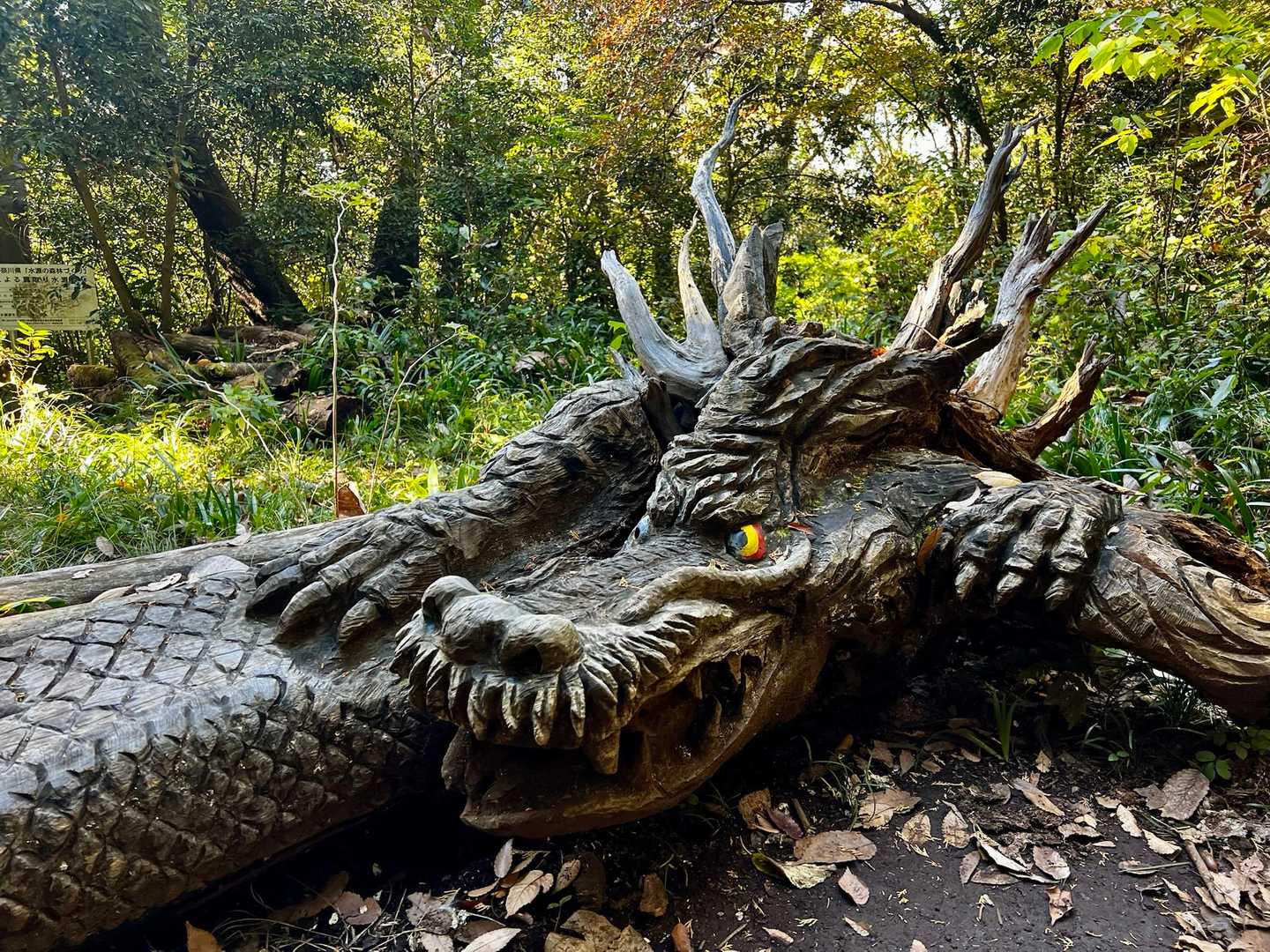 これだ〜❗️
凄い手前が掛かってますね😃
辰年お疲れ様でした🐉