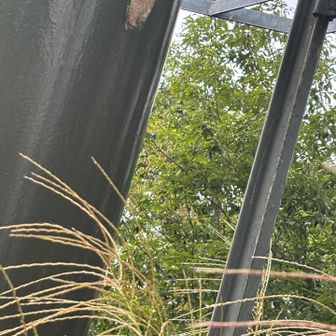 タルクボ峰は踏む必要ないです薮