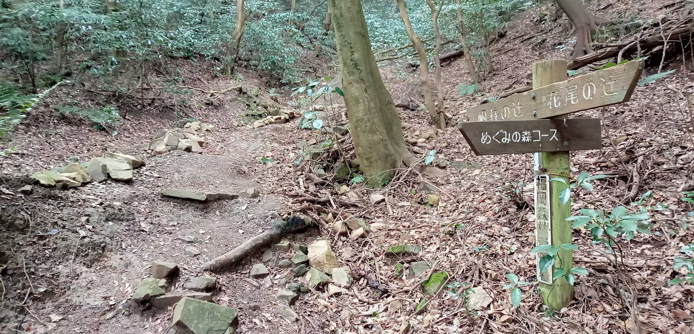 最短道より帆柱の辻へ向かい皿倉山へ、下山はめぐみの森コースを下りこの辻に出た。