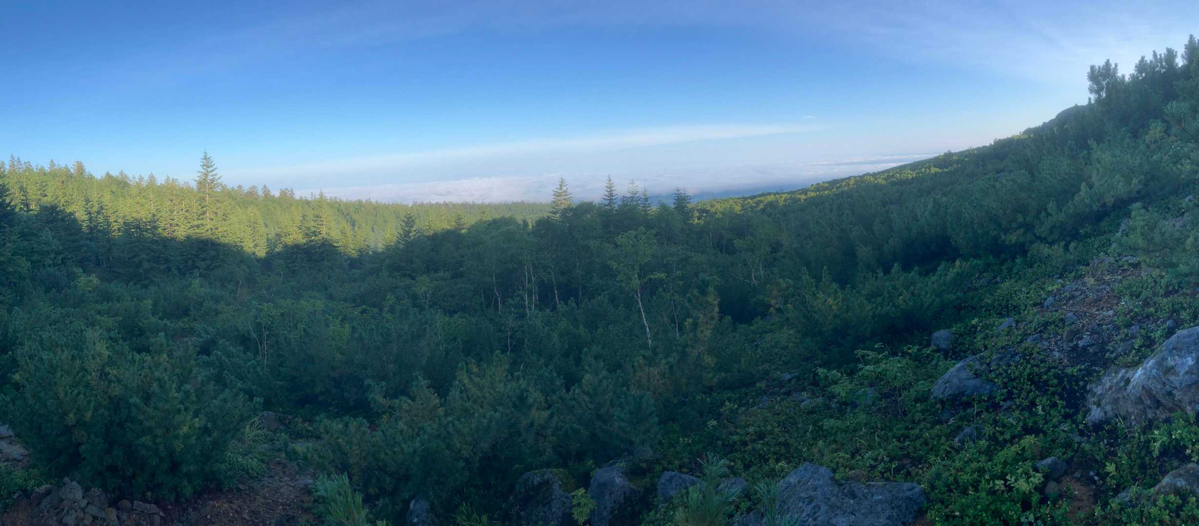上ホロカメットク山-十勝岳 縦走コースの写真