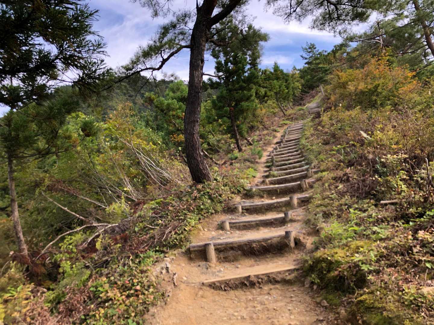 階段が整備されていて歩きやすいです🚶
でも、傾斜もあり、ずっと登りなので容易ではありません💦