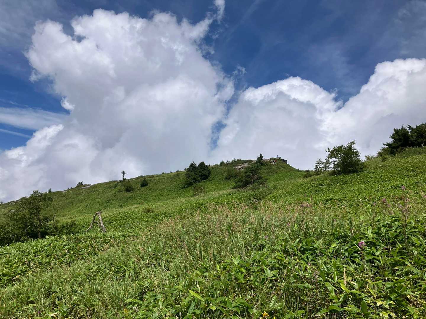 菅平牧場-根子岳-小根子岳 往復コースの写真