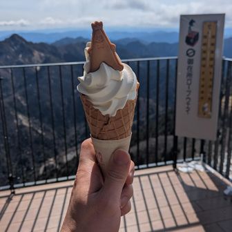 写真だともうひと巻ぐらいあったような？少ない・・・