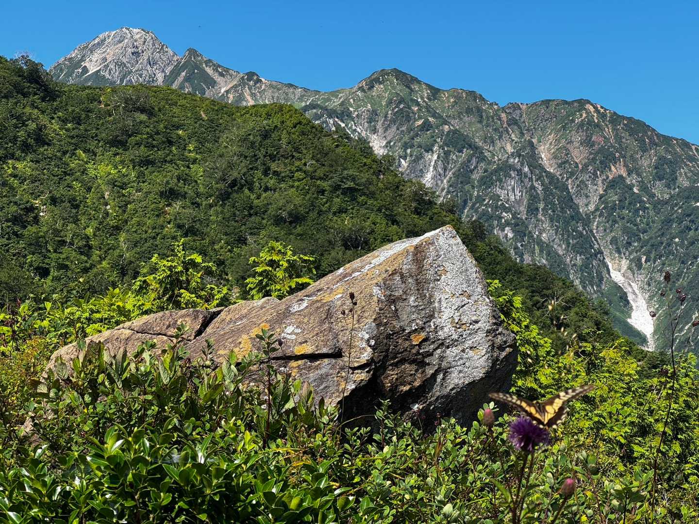 地蔵の頭-小遠見山-中遠見山-大遠見山-西遠見山-白岳-五 縦走コースの写真