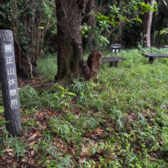 善正山山頂！