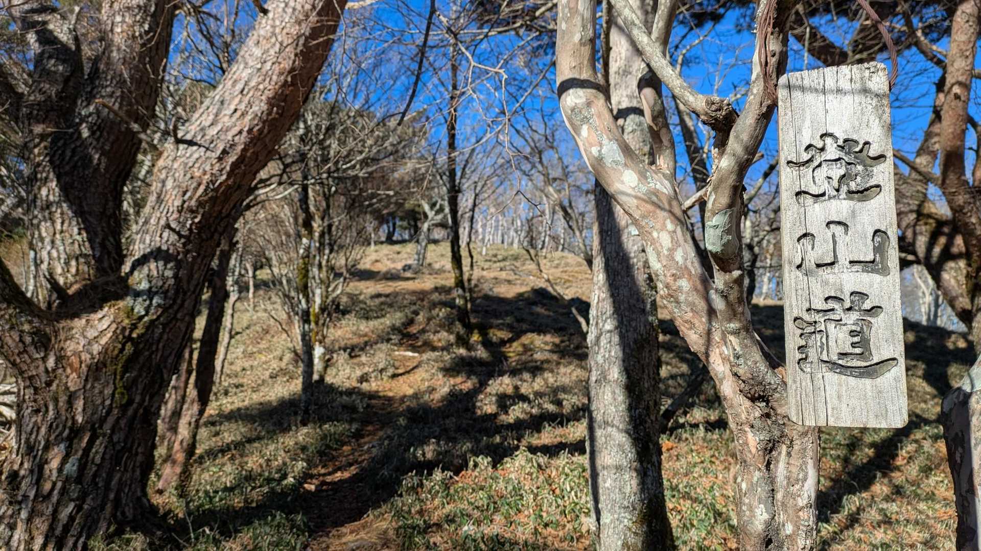 登山道の表示
力強い文字に安心感😌

このあと…
鳴き声と共に鹿が横切りました🦌
ここまで熊鈴をリンリン鳴らしながら歩いてきたので先に気付かれてしまった😆
ここで熊鈴とめたけど、出会えたのはこの一頭だけでした
