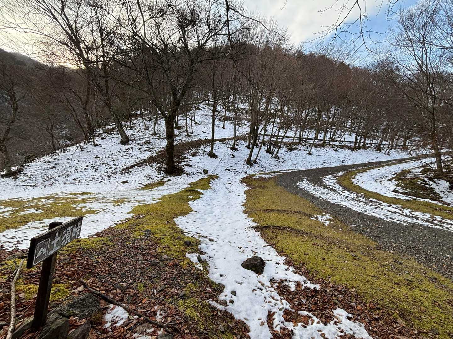 トンネル出口に車を止め林道あるくこと10分土須峠　積雪が多くなって来ました