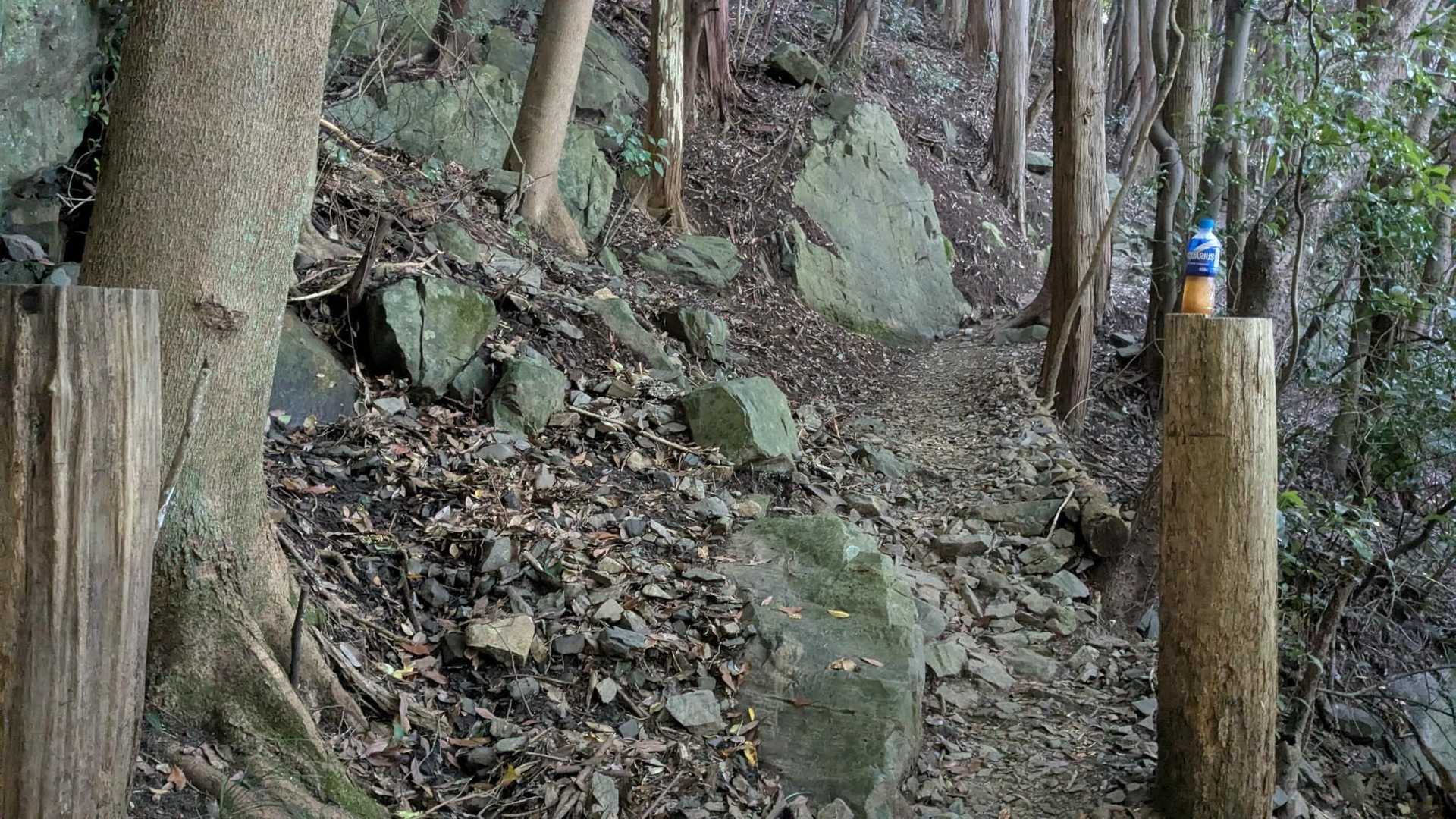 一息入れます。