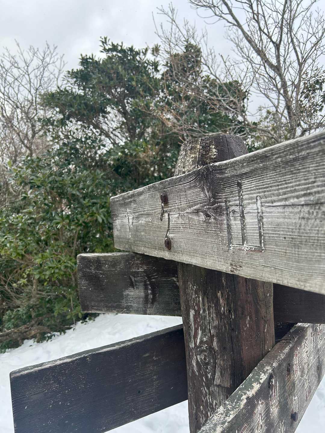 頂上へ！