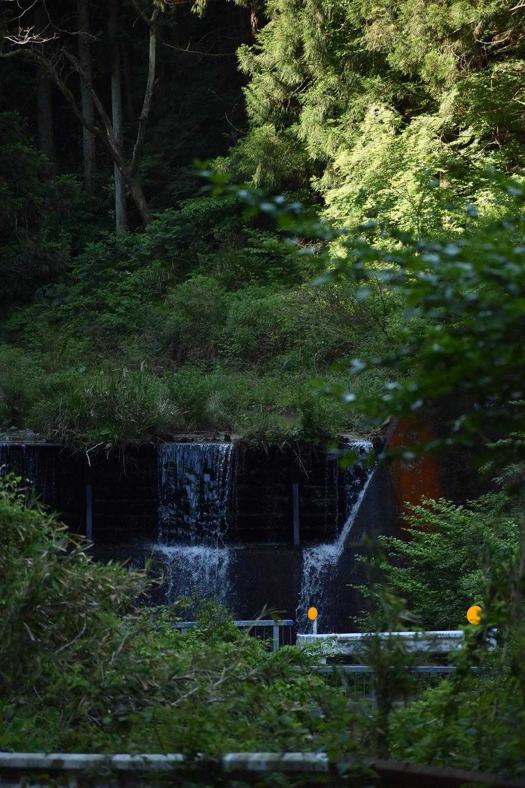 このまま車の所まで歩いてログ終了。
帰る準備をしていたら、何と金剛山を登り終えたしんやさんと本日2回目の遭遇！🤣いや〜奇遇すぎました笑 でも、嬉しかったです✨

最後まで読んでいただきありがとうございました😊