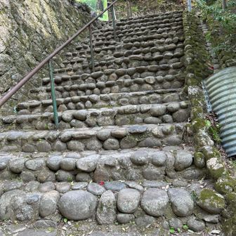 この階段を降りて来ました。