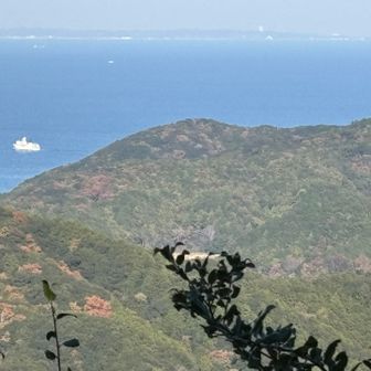 伊良湖岬が見えます👁
伊勢湾フェリー⛴️
この後、四日市からお越しのソロの女性と立ち話👩
