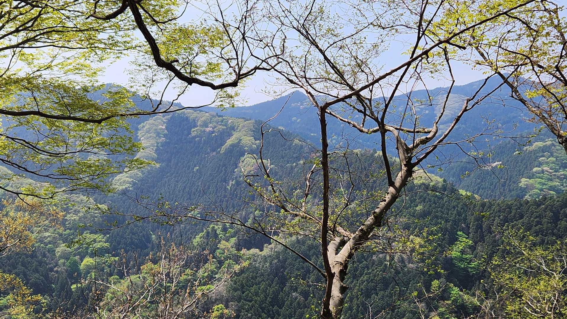 高山御嶽山-日向山-高山バス停-子王山 往復コースの写真