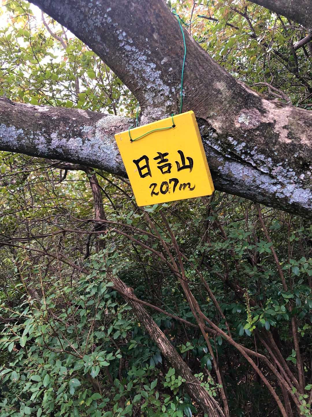 ありました！日吉山です。