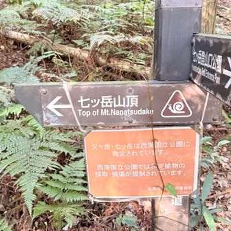 途中看板あるので迷いません🫷