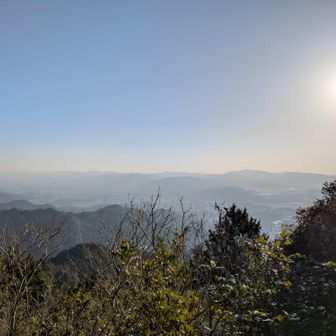 天狗岩から展望ポイントに行くつもりが、間違えて登山道を下りてしまった。東。豊川市東上町本宮山方面。風切山（中右）常寒山（中）富幕山（中右奥）上の浅間山（中最奥）