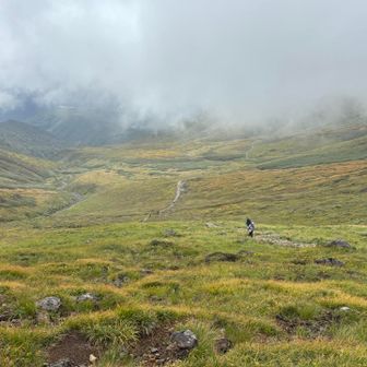 リフト乗り場までも、素敵な登山道✨