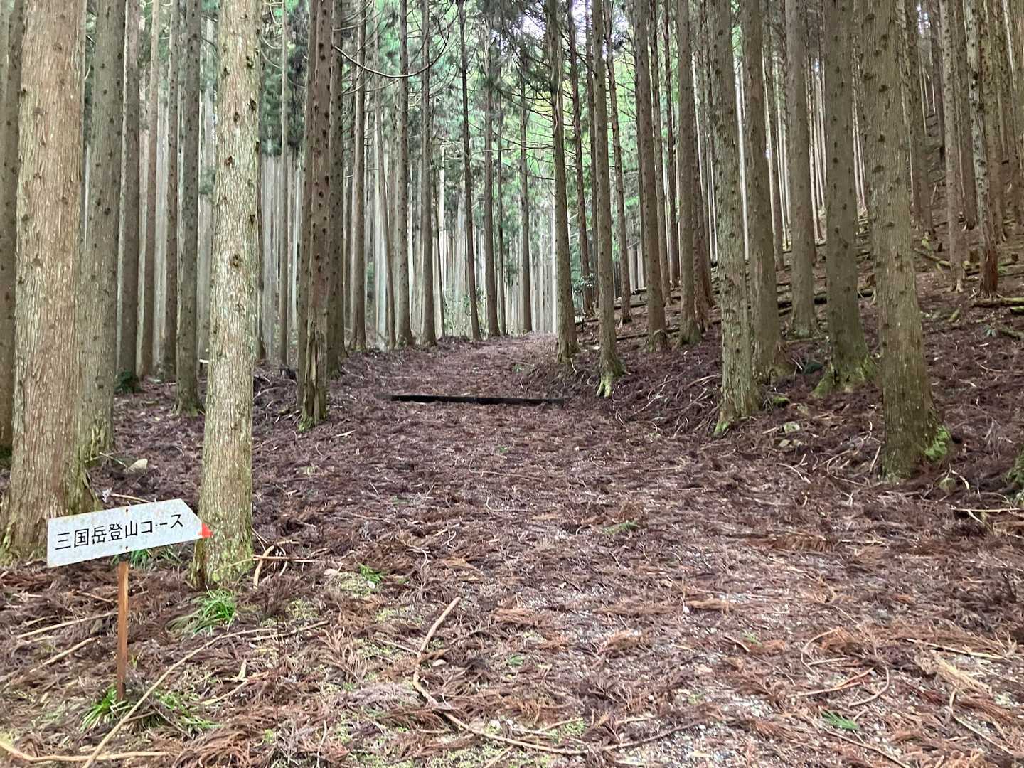 三国峠-三国岳 往復コースの写真