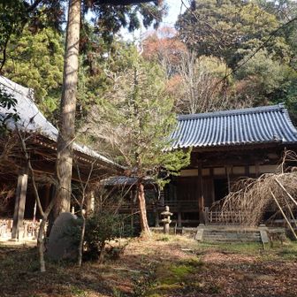 正面に金堂。本尊は五大明王です。左の講堂には重要文化財の弁才天像が祀られています。
このお堂の間を登ると、奥に奥の院や経塚がありますが、
やめておきます。
金堂正面扉が開いており、勤行の様子が垣間見えます。
自然豊かな境内に響く真言が圧倒的です。