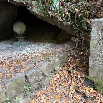 おお！中に入ってみた