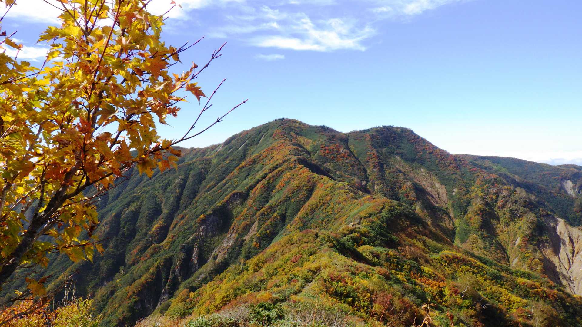 僧ヶ岳
