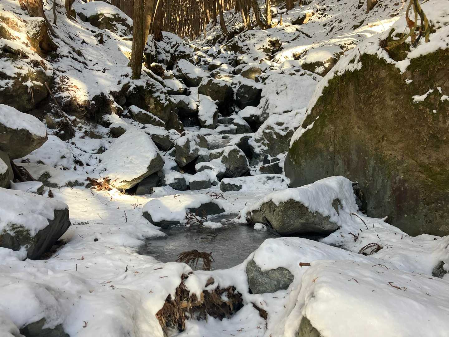 小さな沢は凍ってます