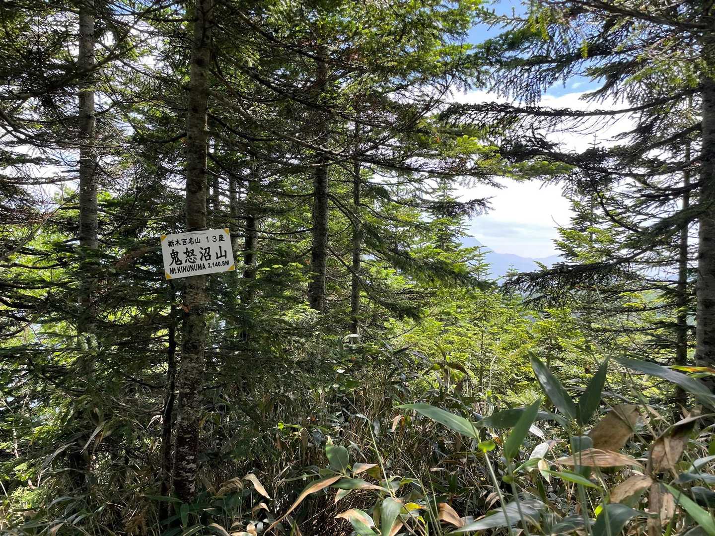 山頂⛰️