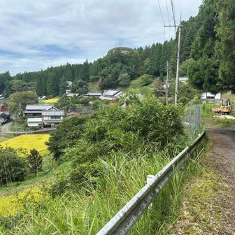 前方に、諸木野の集落🏘️が見えてきました👀