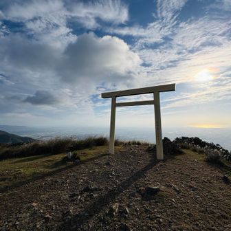 神秘的な鳥居です。