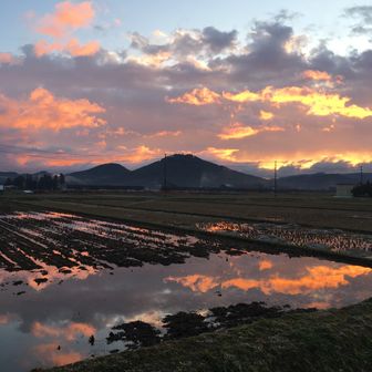 オサミマヤケタハ