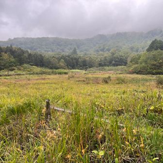 朝は真っ暗、兵馬の平