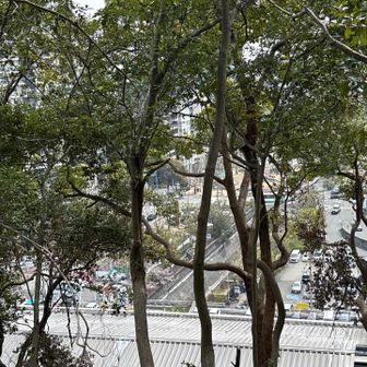 やっと新神戸駅裏まで戻ってきました。
もう少し！