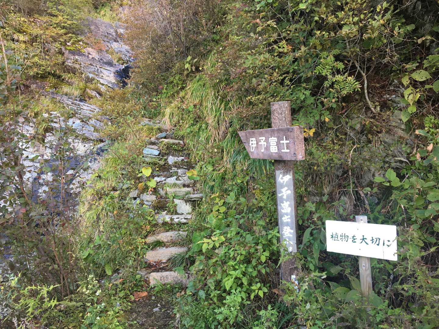 登山口へ無事下山。