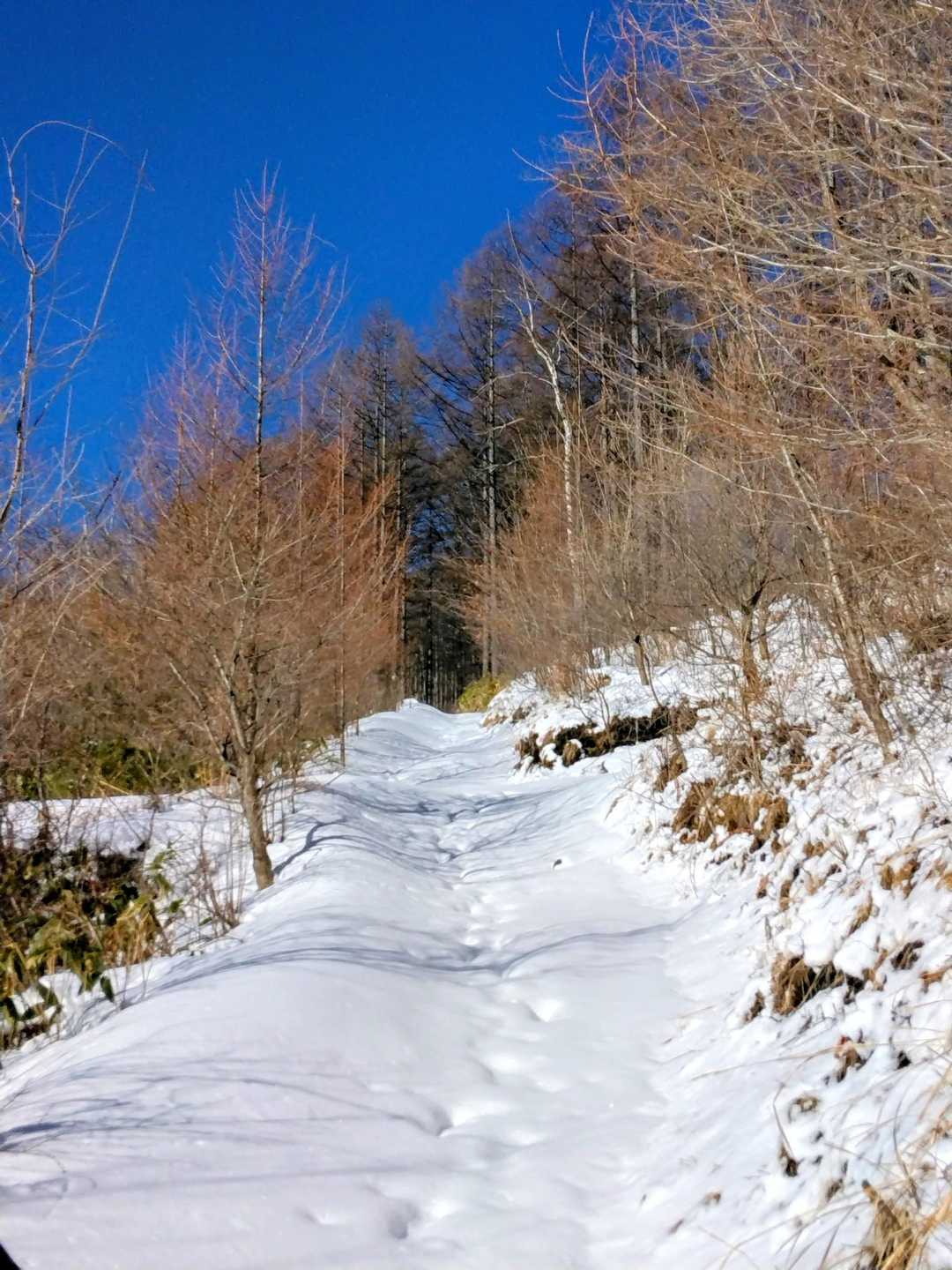 ⛄新雪と青空と💙